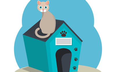 The Cattery
