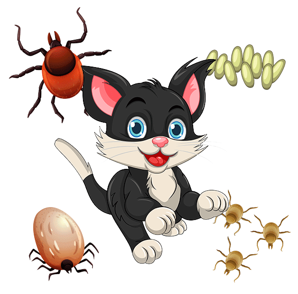 Tick and Flea treatment