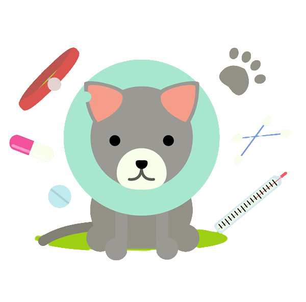 Vaccinations