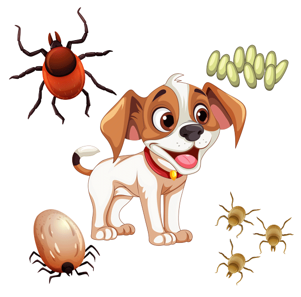 Tick and Flea treatment